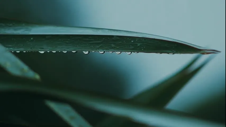 Napalona macocha z ogromnymi dużymi naturalnymi cyckami palcami jej mokrej cipki, aby zaspokoić jej potrzeby