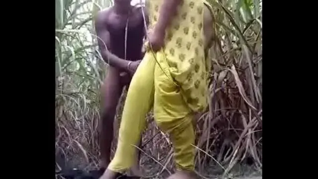 desi sex hd Midway Through A Sugarcane Field, A Village Girl Fucked